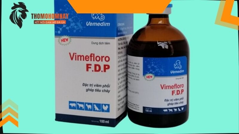 Điều trị cho gà bị mù mắt khi bị vật nhọn tác động