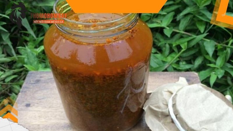 Cách chữa mốc cho gà chọi bằng bài thuốc dân gian với nguyên liệu tự nhiên