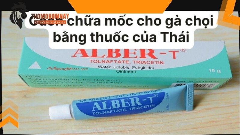 Cách chữa mốc cho gà chọi bằng thuốc của Thái