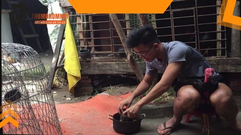Nguyên liệu sử dụng để om bóp cho chiến kê tốt nhất