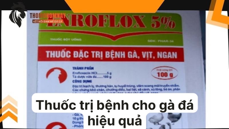 Thuốc trị bệnh cho gà đá an toàn và hiệu quả thi đấu nhất hiện nay 3 Sản phẩm đặc trị bệnh nấm phổi cho chiến kê