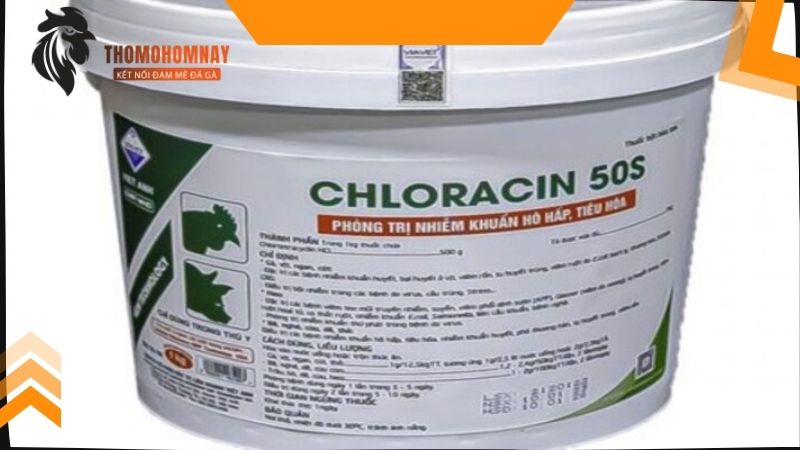 Thuốc trị bệnh cho gà đá an toàn và hiệu quả thi đấu nhất hiện nay 2 Thuốc trị bệnh cho gà đá CHLORACIN 50S