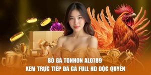 Bồ Gà Tonhon Alo789 - Xem Trực Tiếp Đá Gà Full HD Độc Quyền