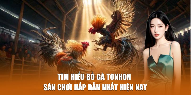 Tìm hiểu Bồ Gà Tonhon - Đấu trường chọi kê hàng đầu Việt Nam